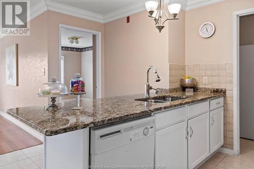 5000 Wyandotte Street East Unit# 309, Windsor, ON - Indoor Photo Showing Kitchen With Double Sink