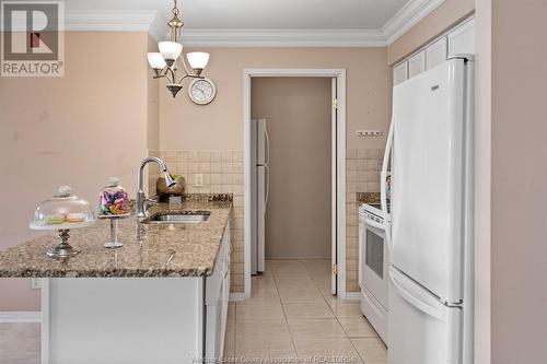5000 Wyandotte Street East Unit# 309, Windsor, ON - Indoor Photo Showing Kitchen With Upgraded Kitchen