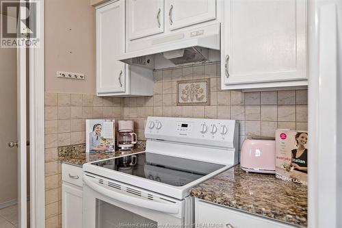 5000 Wyandotte Street East Unit# 309, Windsor, ON - Indoor Photo Showing Kitchen