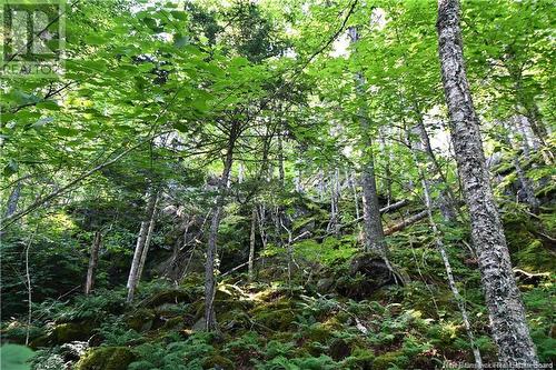 -- Bayview Drive, Wilsons Beach, NB 