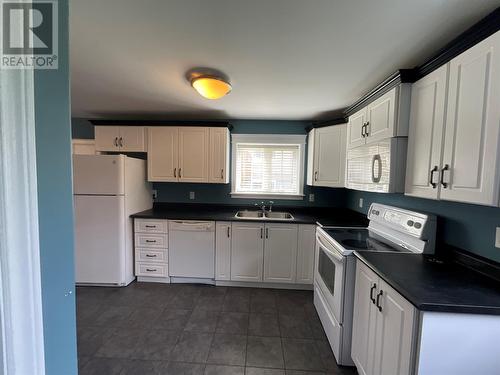9 Lady Anderson Street, St John’S, NL - Indoor Photo Showing Kitchen With Double Sink