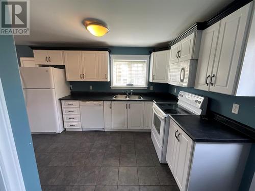 9 Lady Anderson Street, St John’S, NL - Indoor Photo Showing Kitchen With Double Sink
