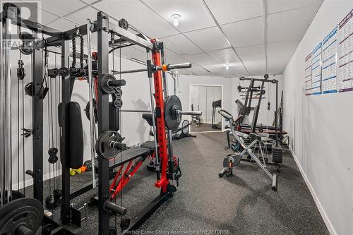 231 County Rd 34, Cottam, ON - Indoor Photo Showing Gym Room