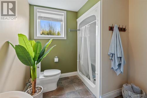 231 County Rd 34, Cottam, ON - Indoor Photo Showing Bathroom