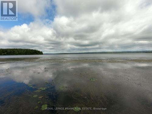 110 Cow Island, Otonabee-South Monaghan, ON 