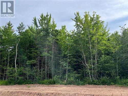 Lot 24-24 Kingsbury Court, Lower Coverdale, NB 