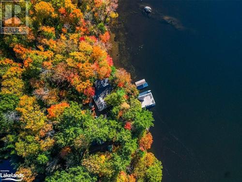 399 Horseshoe Lake, Seguin, ON - Outdoor With Body Of Water