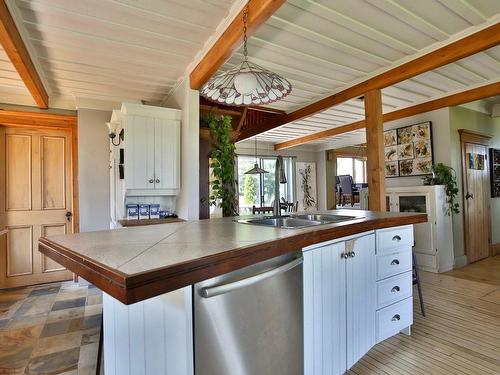 Kitchen - 349 5E Rang, Saint-Bernard-De-Michaudville, QC - Indoor Photo Showing Kitchen With Double Sink