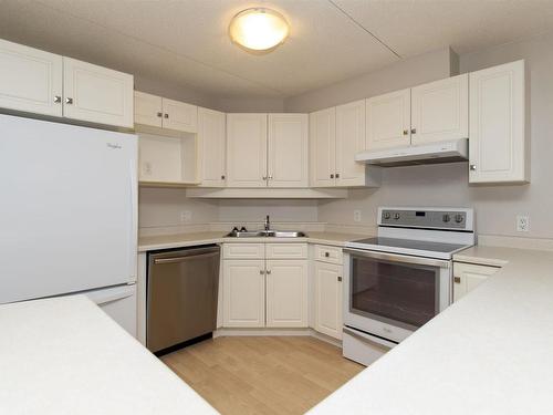 302 50 S Water Street South, Thunder Bay, ON - Indoor Photo Showing Kitchen With Double Sink