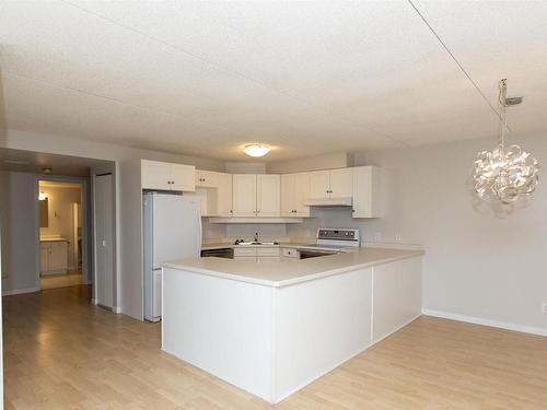 302 50 S Water Street South, Thunder Bay, ON - Indoor Photo Showing Kitchen