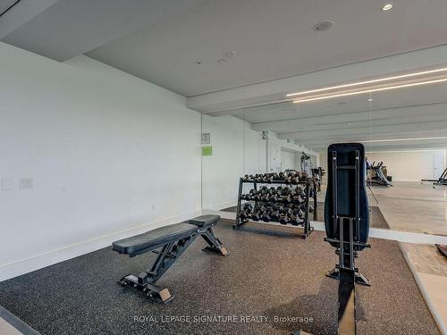 703-10 Gibbs Rd, Toronto, ON - Indoor Photo Showing Gym Room