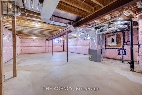 225 Palace Street, Thorold, ON - Indoor Photo Showing Basement