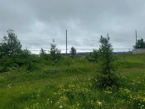 Land/Lot - 760 Av. Dargis-Ménard, Malartic, QC 