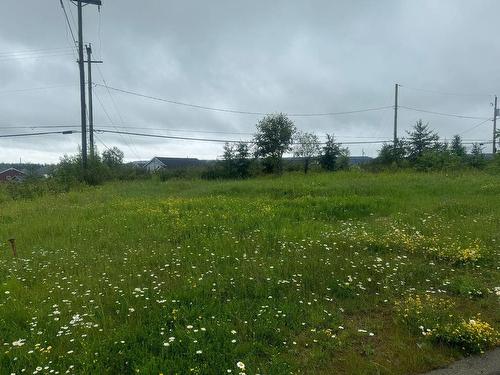 Land/Lot - 780 Av. Dargis-Ménard, Malartic, QC 