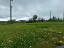 Land/Lot - 780 Av. Dargis-Ménard, Malartic, QC 