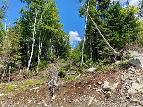 Terre/Terrain - Rue De L'Héritage, Sainte-Adèle, QC 