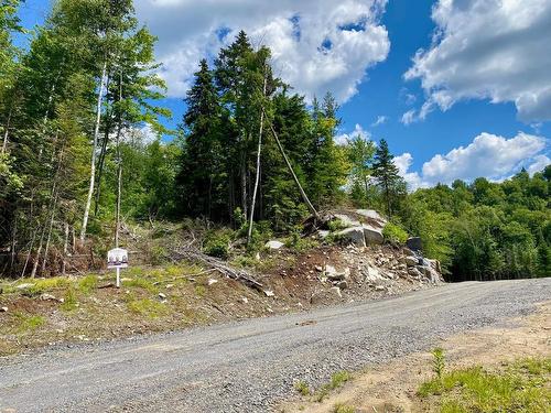 Terre/Terrain - Rue De L'Héritage, Sainte-Adèle, QC 