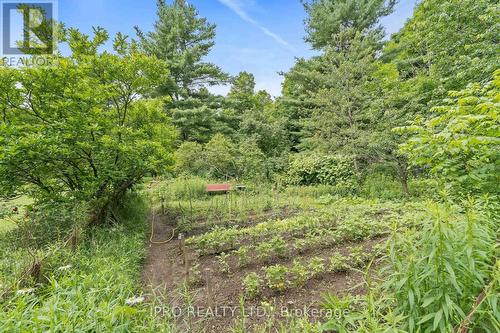 7899 Side Road 15, Halton Hills, ON - Outdoor