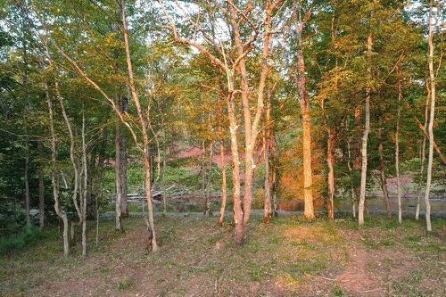 Acreage River Bend Lane, Balfron, NS 