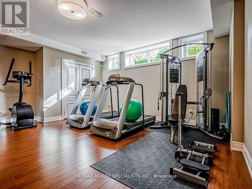 295 Belvenia Road, Burlington (Shoreacres), ON - Indoor Photo Showing Gym Room