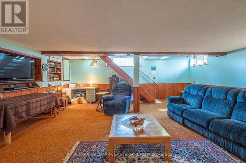 8050 County Rd 45 Road, Alnwick/Haldimand, ON - Indoor Photo Showing Living Room