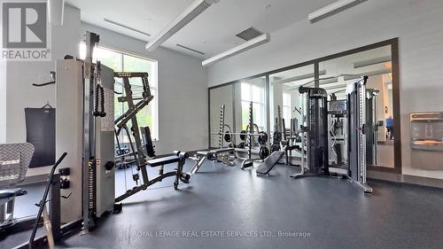 301 - 181 Wynford Drive, Toronto, ON - Indoor Photo Showing Gym Room