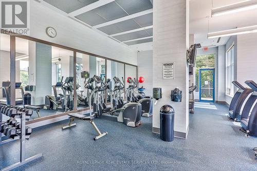 301 - 181 Wynford Drive, Toronto, ON - Indoor Photo Showing Gym Room