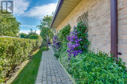 48 Walmer Gardens, London, ON - Outdoor