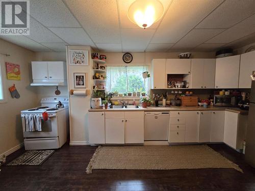 156 Church St, Sault Ste Marie, ON - Indoor Photo Showing Kitchen With Double Sink