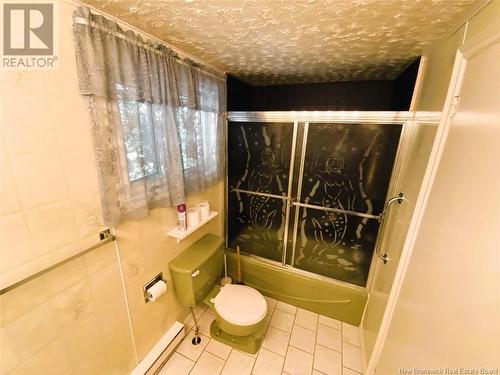 11 David Street, Saint-Basile, NB - Indoor Photo Showing Bathroom