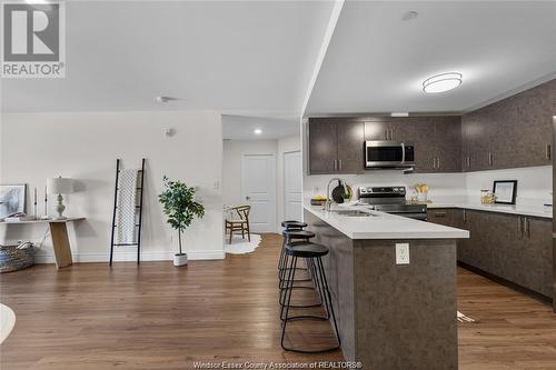 1489 Banwell Road Unit# 226, Windsor, ON - Indoor Photo Showing Kitchen