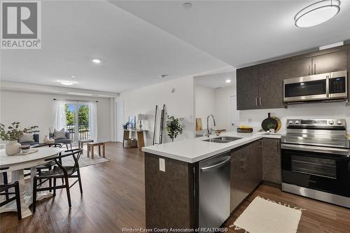 1489 Banwell Road Unit# 226, Windsor, ON - Indoor Photo Showing Kitchen With Double Sink