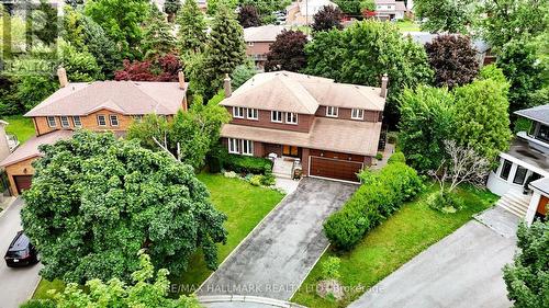 17 Sabrina Court, Richmond Hill (North Richvale), ON - Outdoor