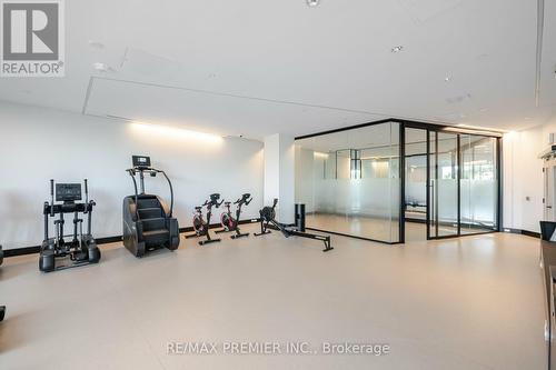 619 - 30 Tretti Way, Toronto, ON - Indoor Photo Showing Gym Room
