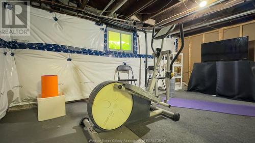 1553 Moy, Windsor, ON - Indoor Photo Showing Basement