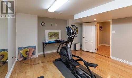 14 Kent Place, St. John’S, NL - Indoor Photo Showing Gym Room