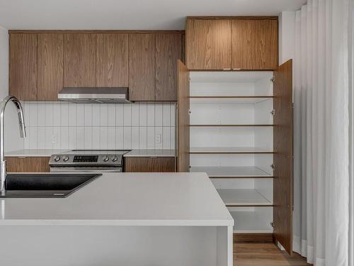 Cuisine - 701-700 Route Des Rivières, Lévis (Les Chutes-De-La-Chaudière-Ouest), QC - Indoor Photo Showing Kitchen With Double Sink