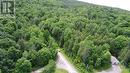 Lot 1 Canaan Road, Renfrew, ON 