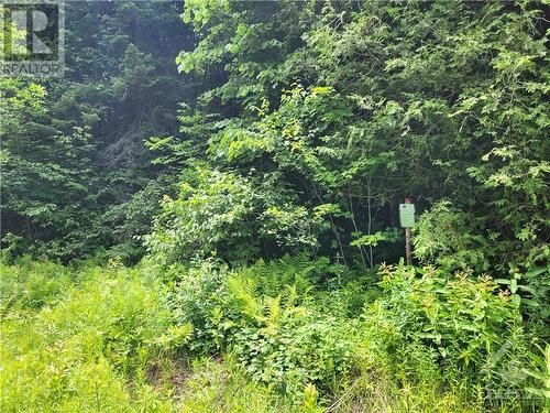 Lot 1 Canaan Road, Renfrew, ON 