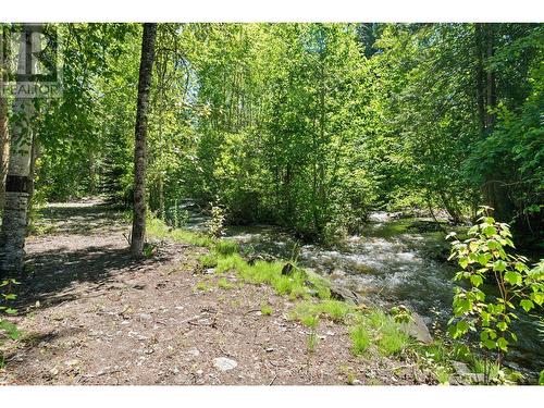 38 West Poirier Road, Sicamous, BC - Outdoor