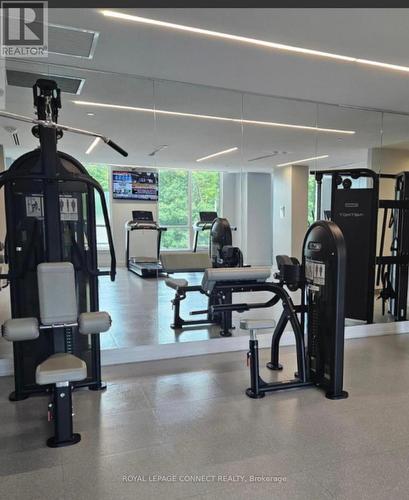 703 - 3121 Sheppard Avenue E, Toronto, ON - Indoor Photo Showing Gym Room