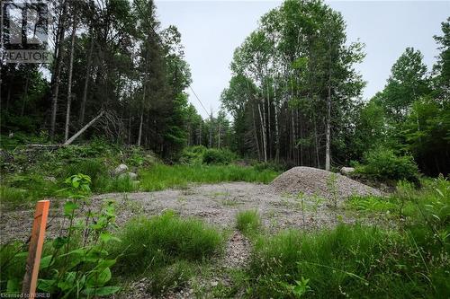 Lot 35, Plan 2 Talon Lake Road, Bonfield, ON 