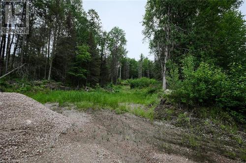 Lot 35, Plan 2 Talon Lake Road, Bonfield, ON 