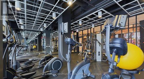 418 - 783 Bathurst Street, Toronto, ON - Indoor Photo Showing Gym Room