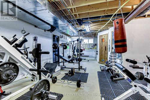 50 Exmoor Place, London, ON - Indoor Photo Showing Gym Room