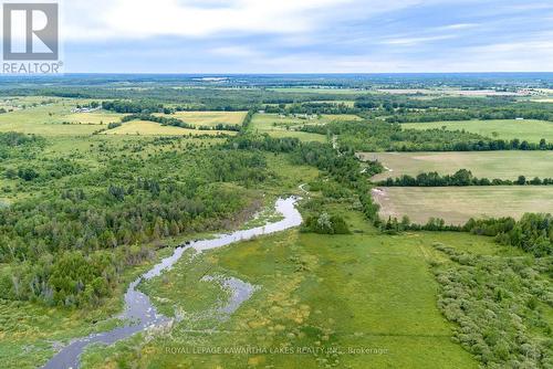 229 Creek View Road, Kawartha Lakes, ON 