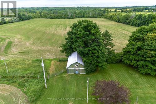 229 Creek View Road, Kawartha Lakes, ON 