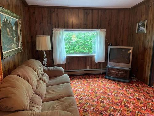 86 Higgins Lane, Onanole, MB - Indoor Photo Showing Living Room