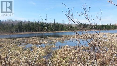 686 Drurys Cove Road, Sussex, NB - Outdoor With View