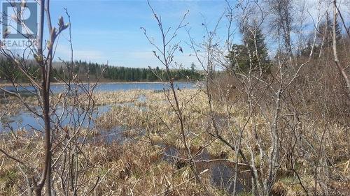 686 Drurys Cove Road, Sussex, NB - Outdoor With View